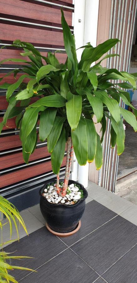 56 Hotel Mentekab Luaran gambar